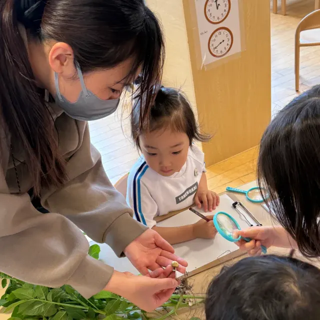 じゃがいもの観察をする園児と保育士