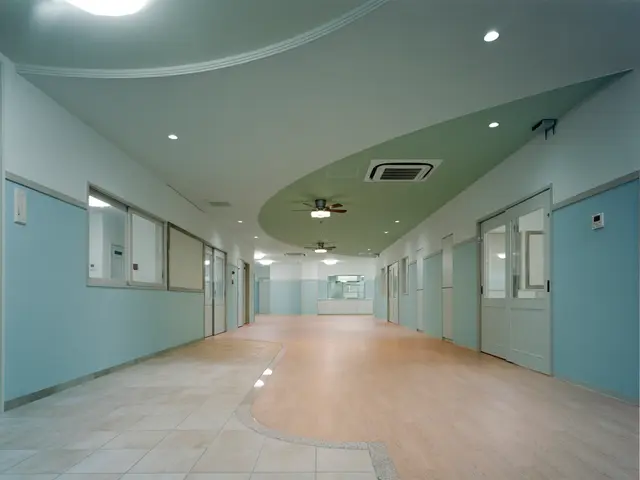 世田谷はっと保育園の保育室。曲線を描く天井とやわらかな配色